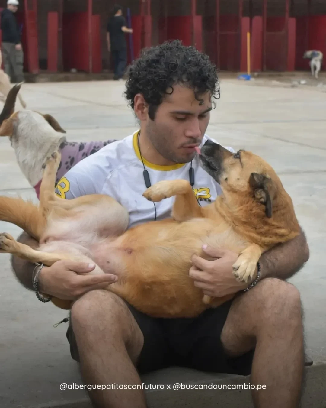 Jornada animalista de BUC