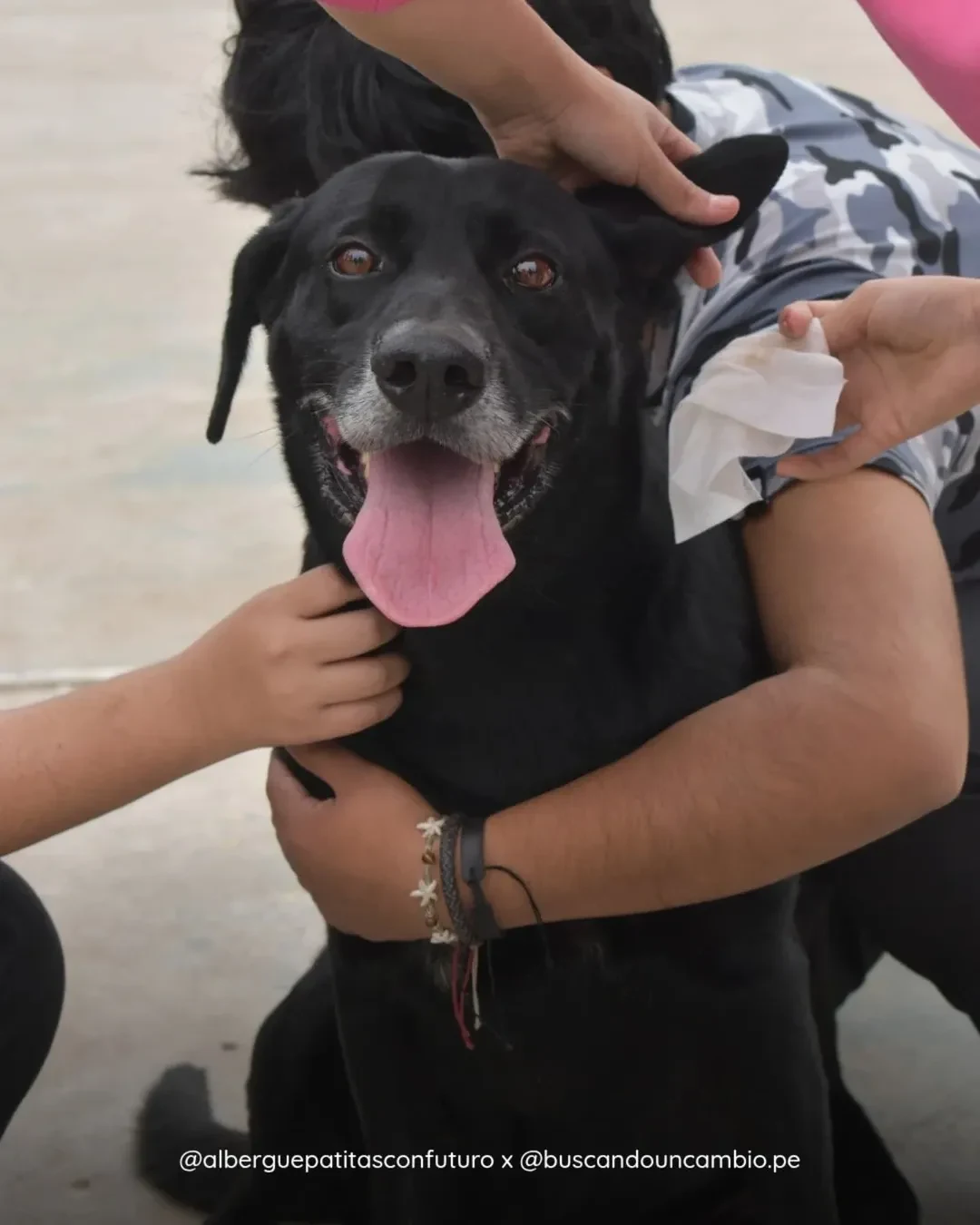Una voluntaria abraza a un perro negro rescatado en un albergue