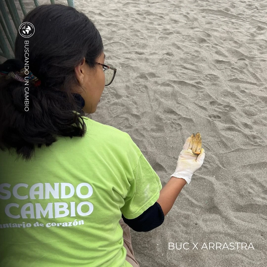 Arte y conciencia en la orilla